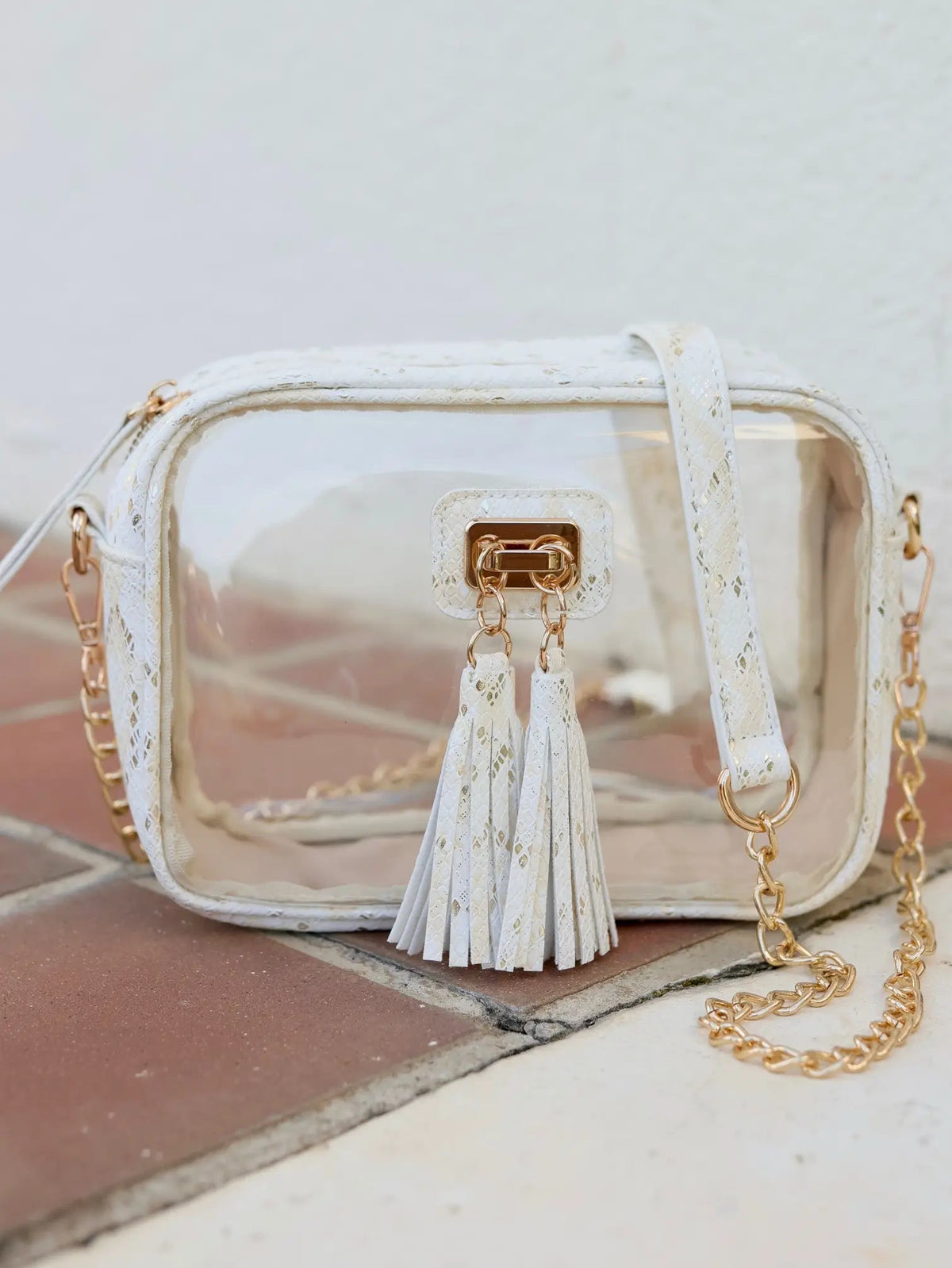 CAROLINE HILL Addison Clear Crossbody